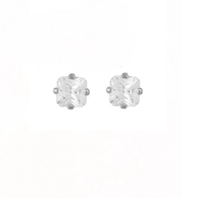 Stainless steel fashion earrings