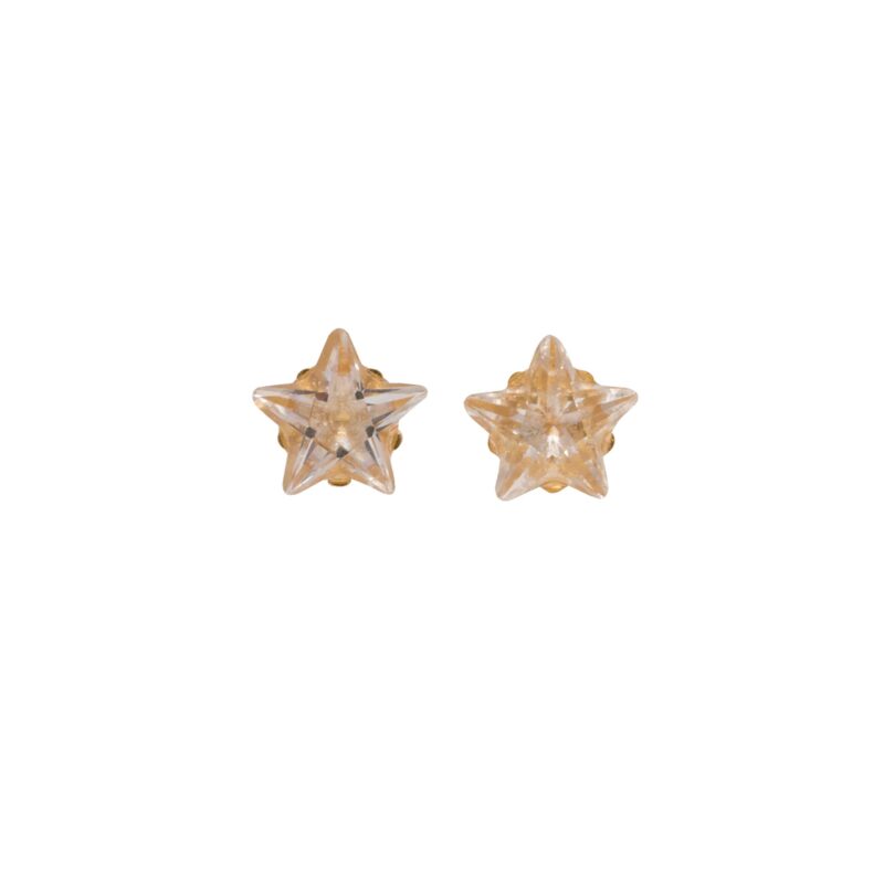 Gold plated fashion earrings